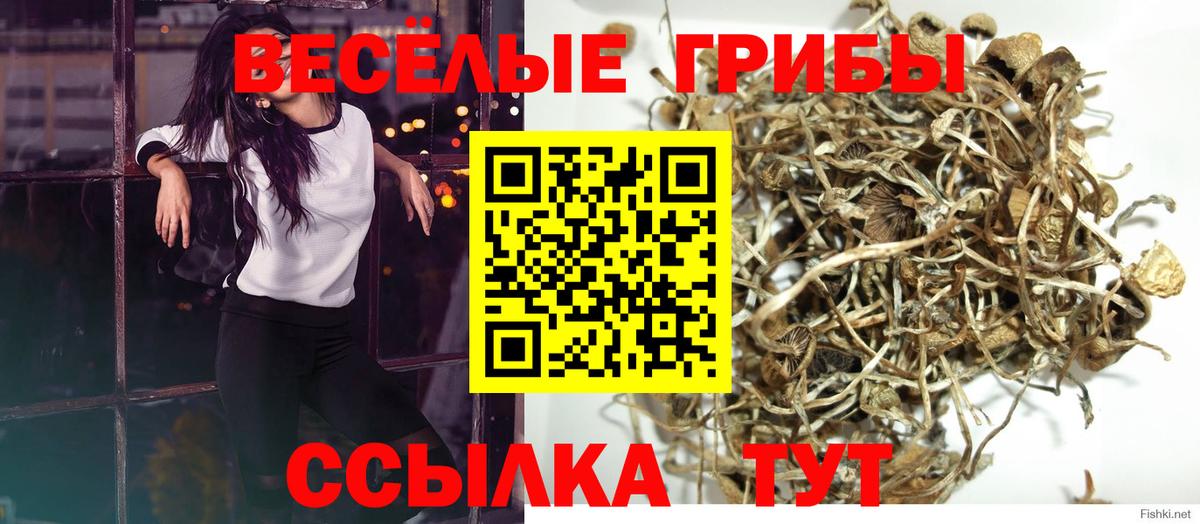Псилоцибиновые грибы Magic Shrooms Красногорск