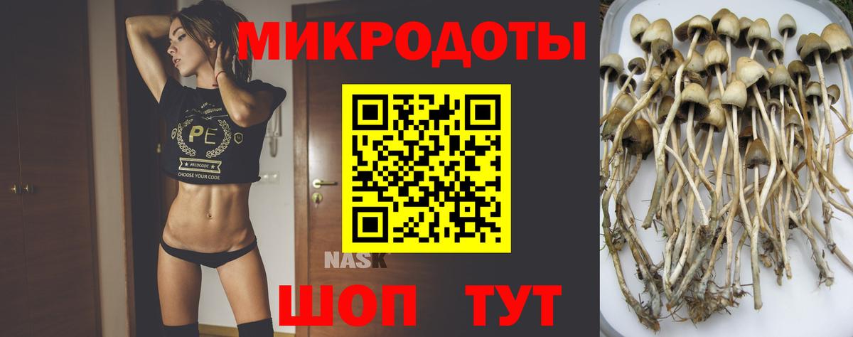 Красногорск  Галлюциногенные грибы Psilocybe  Галлюциногенные грибы GOLDEN TEACHER  Вход с VPN 